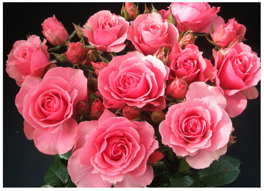 Поздравление директора с праздником 8 марта!