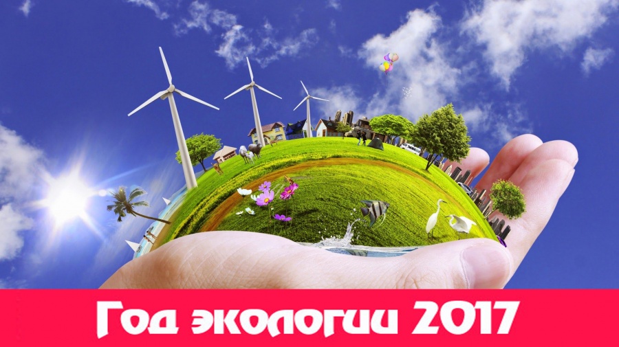 2017 год - год экологии в России