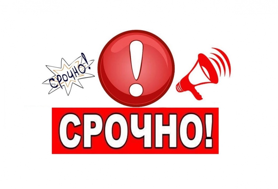 Обращение директора Медицинского колледжа.