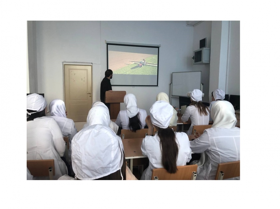 Разговор о важном на тему «День труда. Мир профессий»