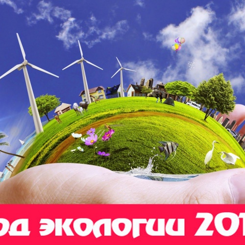 2017 год - год экологии в России