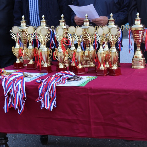 Чемпионат города по национальным видам спорта.