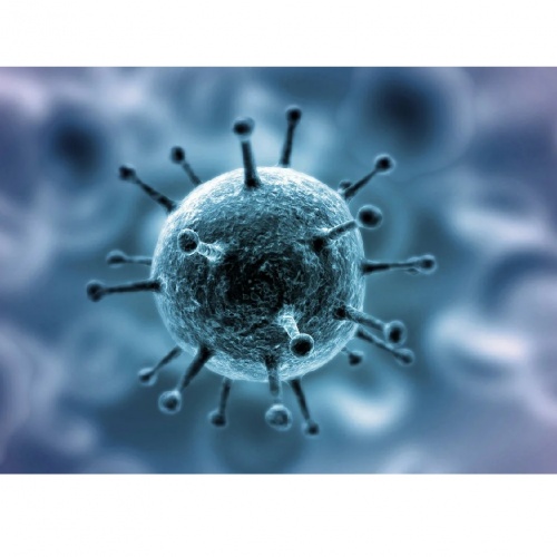 АЛГОРИТМ ДЕЙСТВИЙ СОТРУДНИКОВ КОЛЛЕДЖА ПРИ ПОДОЗРЕНИИ НА КОРОНАВИРУСНУЮ ИНФЕКЦИЮ