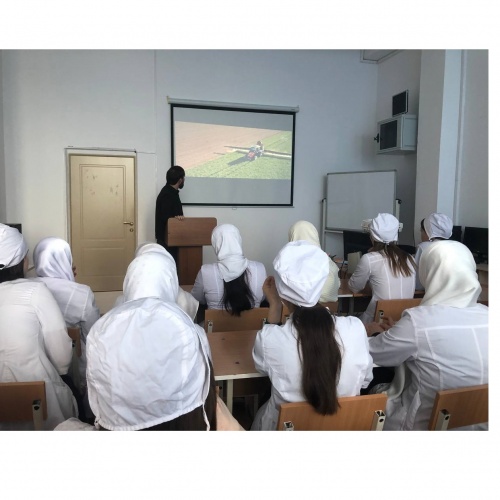 Разговор о важном на тему «День труда. Мир профессий»