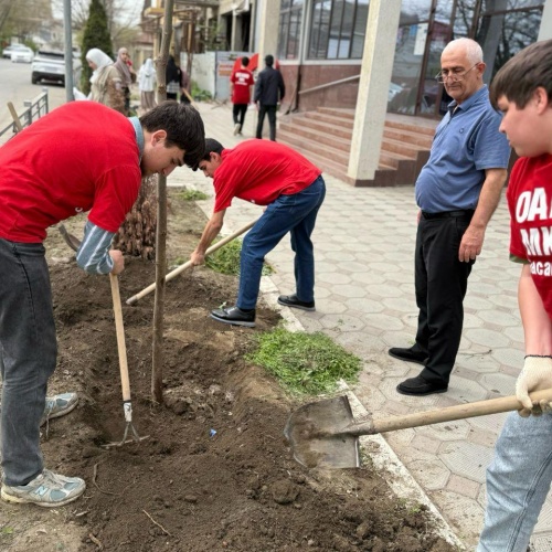 Участие в акции «Посади 80 деревьев»